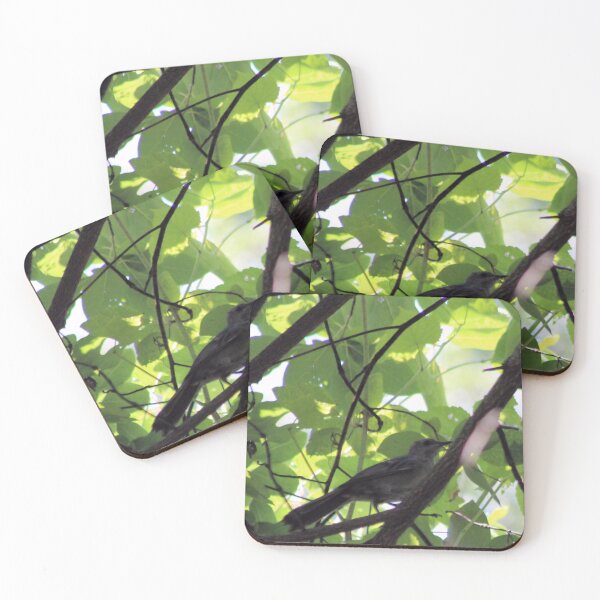 Item preview, IN THE CANOPY designed and sold by BOLLA67.