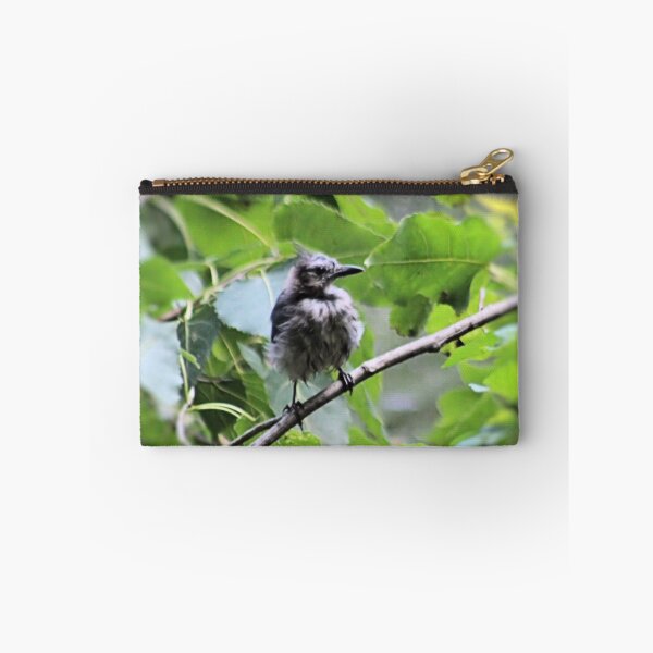 Artikelvorschau, FLUFFY BLUEJAY entworfen und verkauft von BOLLA67.