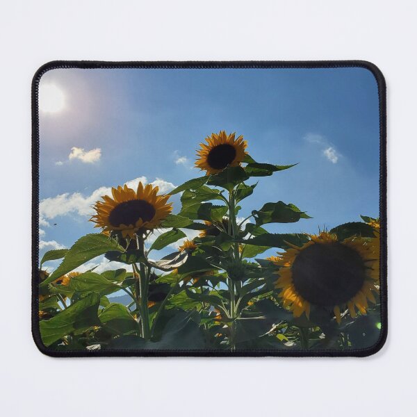 Item preview, Sunflower Fields, Chilliwack, British Columbia designed and sold by Jewelspride.