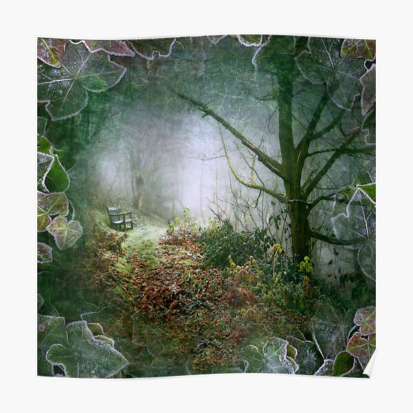 A Winter's Walk (square crop) Poster