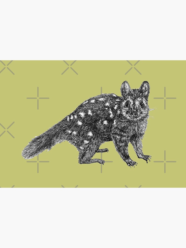 Amanda the Quoll by Wildcard-Sue