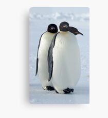 Emperor Penguins Huddled Metal Print