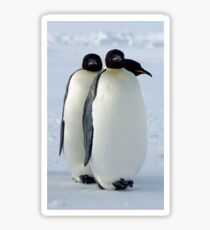 Emperor Penguins Huddled Sticker