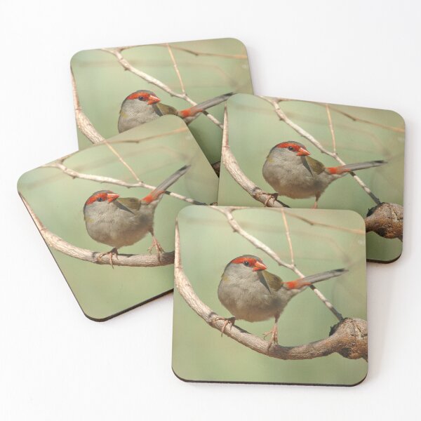 Item preview, Red-browed Finch designed and sold by quentinjlang.
