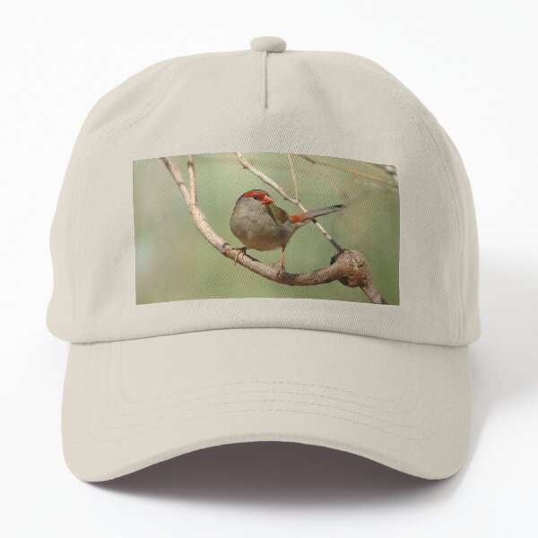 Red-browed Finch Dad Hat