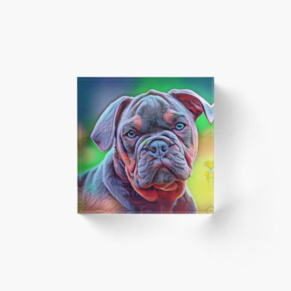 Cute Bull dog Oil painting Acrylic Block