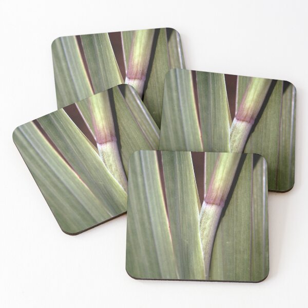 Item preview, Plant detail designed and sold by CoastPicsDesign.