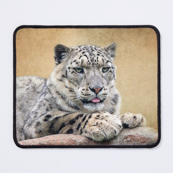 Item preview, Snow Leopard Portrait designed and sold by Catherine Reading.