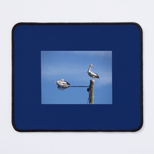 Item preview, Pelican Composition - Pelicans Sticker Greeting Card designed and sold by deanworld.