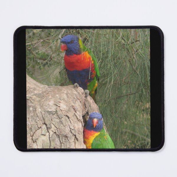 Item preview, Lorikeet Greeting Card Rainbow Lory Parrot Photo designed and sold by deanworld.