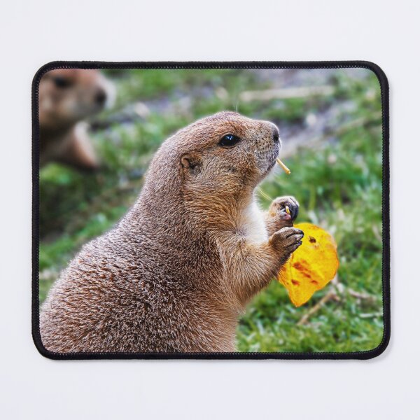 Item preview, Prairie Dog Snack Time designed and sold by Catherine Reading.