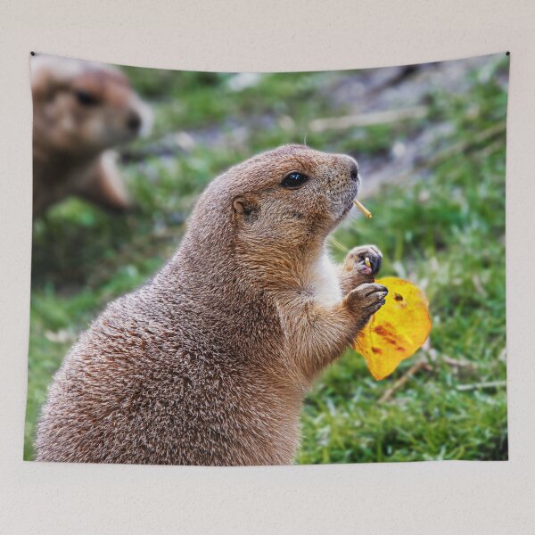 Item preview, Prairie Dog Snack Time designed and sold by Catherine Reading.