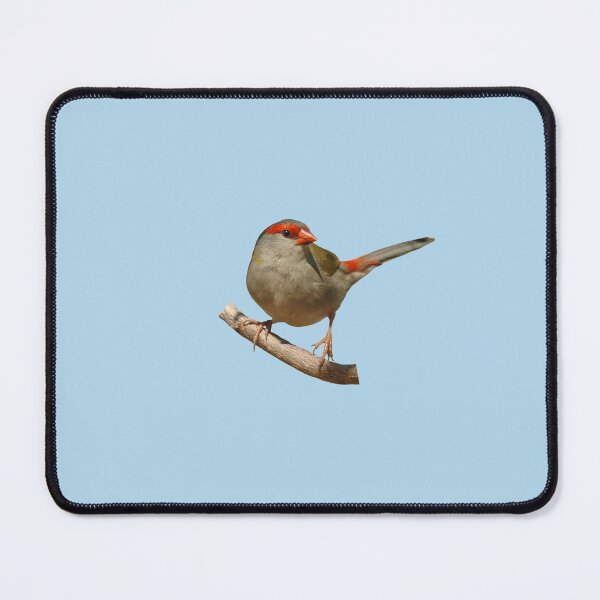 Item preview, Red-browed Finch 4 designed and sold by quentinjlang.