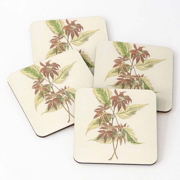 Item preview, Victorian botanical print of Variegated Box Elder designed and sold by CubStar62.