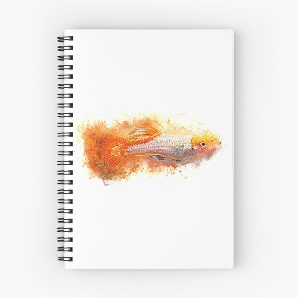 Item preview, Guppy male Koi - Poecilia reticulata designed and sold by AquariumLutter.