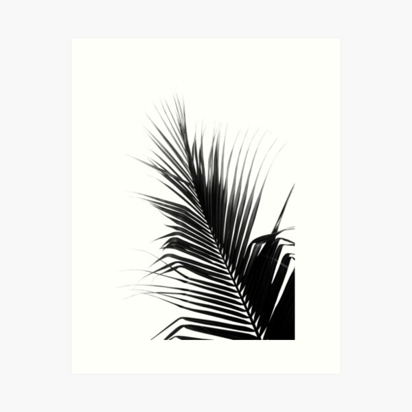 Aperçu de l'œuvre Palm Leaf Black & White Delight #1 #tropical #wall #decor #art créée et vendue par Anita's & Bella's Art.
