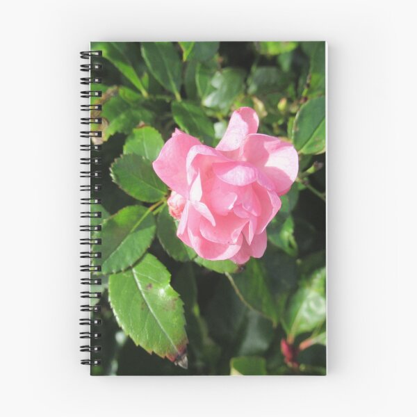 Item preview, Single pink rose designed and sold by tomylees.
