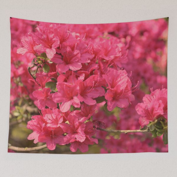 Tapestry