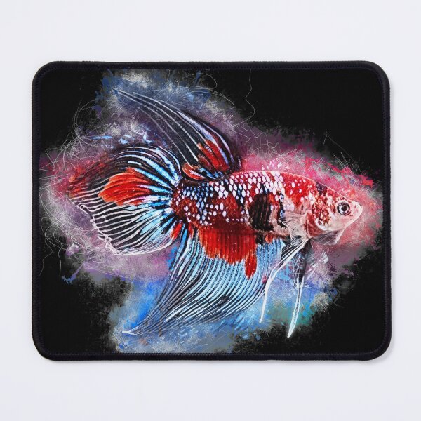 Item preview, Fighting fish male Koi Premium Long Fin designed and sold by AquariumLutter.