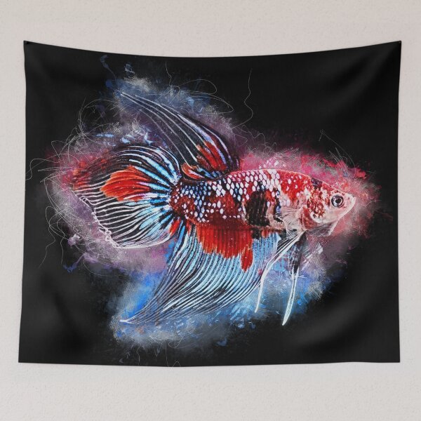 Item preview, Fighting fish male Koi Premium Long Fin designed and sold by AquariumLutter.