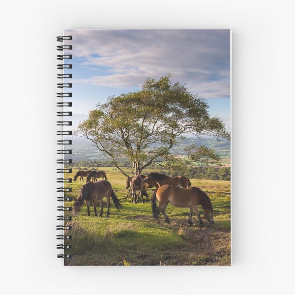 Item preview, Blackdown, Mendip Hills, Somerset designed and sold by Craig Joiner.