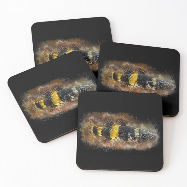Item preview, Bumblebee Goby - Brachygobius doriae designed and sold by AquariumLutter.
