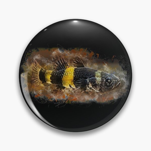 Item preview, Bumblebee Goby - Brachygobius doriae designed and sold by AquariumLutter.