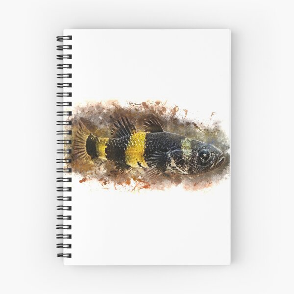 Item preview, Bumblebee Goby - Brachygobius doriae designed and sold by AquariumLutter.