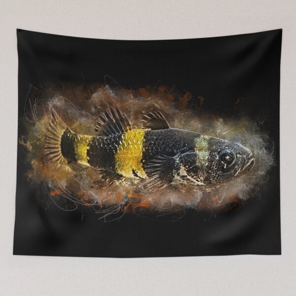 Item preview, Bumblebee Goby - Brachygobius doriae designed and sold by AquariumLutter.
