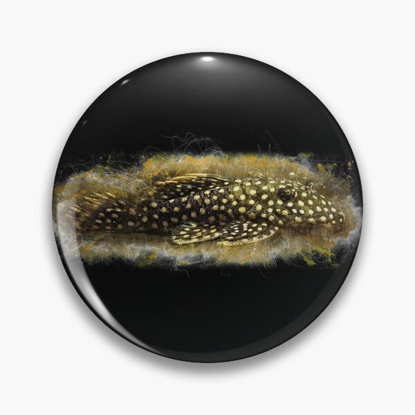 Item preview, Orange fringed armorice catfish - Baryancistrus xanthellus designed and sold by AquariumLutter.