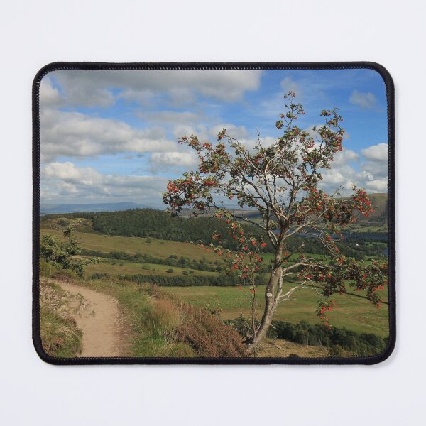 Item preview, Gowbarrow Park designed and sold by RoystonVasey.