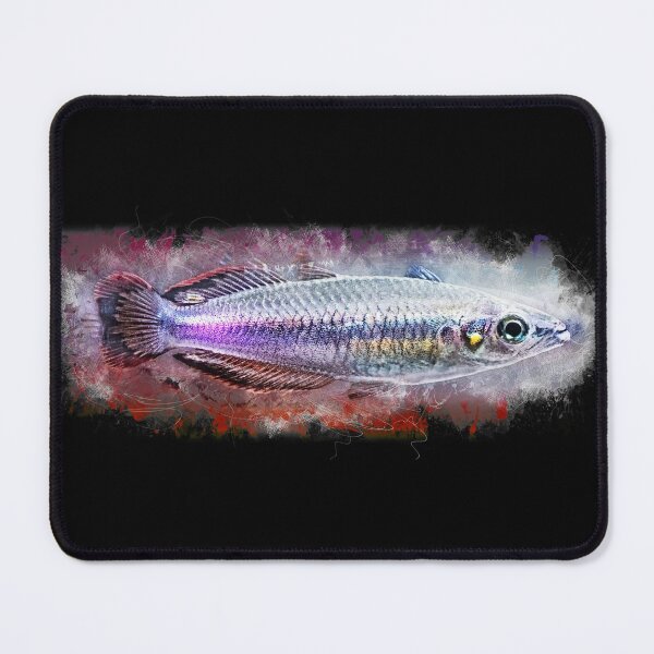 Item preview, Redtail earfish - Bedotia geayi designed and sold by AquariumLutter.