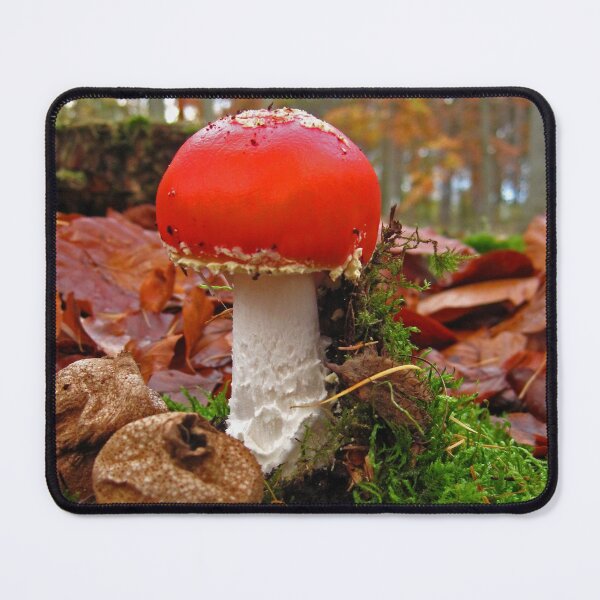 Item preview, Lil Red designed and sold by RoystonVasey.