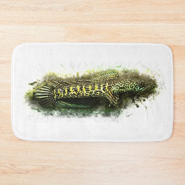 Item preview, Goldspot Snakehead - Channa aurantimaculata designed and sold by AquariumLutter.