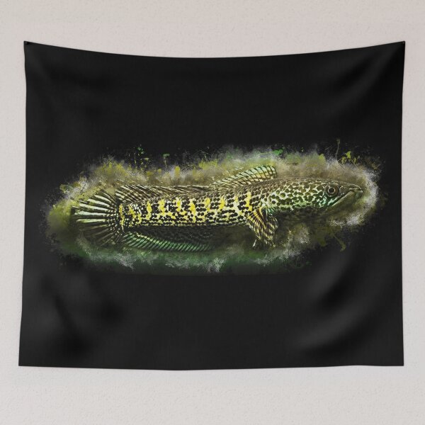 Item preview, Goldspot Snakehead - Channa aurantimaculata designed and sold by AquariumLutter.