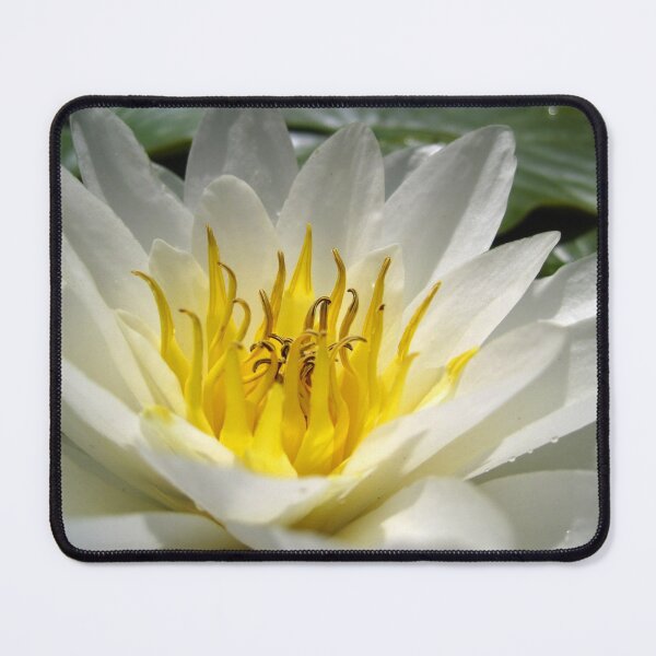 Item preview, What A Lily! designed and sold by RoystonVasey.