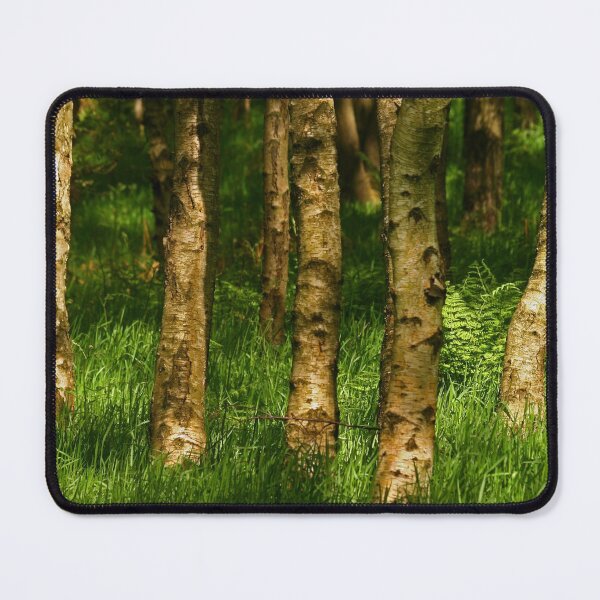 Item preview, Springtime Silver Birch designed and sold by RoystonVasey.