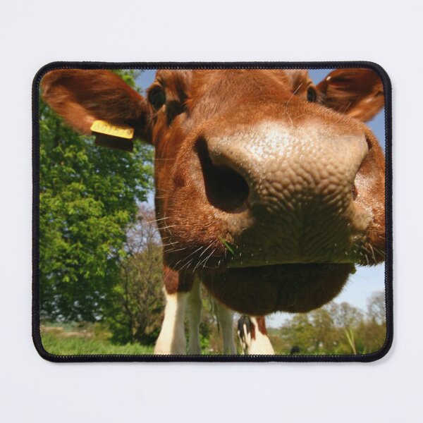 Item preview, Cowabunga designed and sold by RoystonVasey.