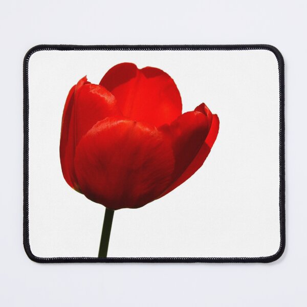 Item preview, Tulip designed and sold by RoystonVasey.