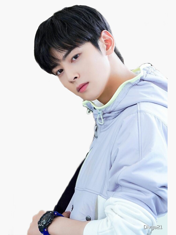 Cha eun woo astro member  Sticker for Sale by Divya21