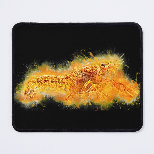Item preview, Orange ornamental shrimp - Cambarellus patzcuarensis designed and sold by AquariumLutter.