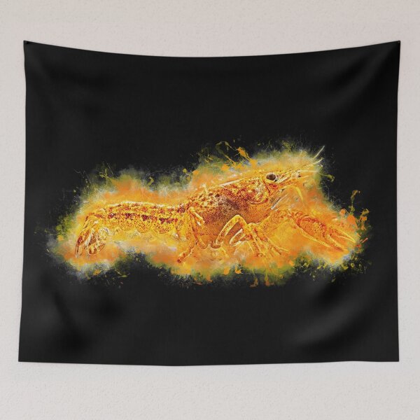 Item preview, Orange ornamental shrimp - Cambarellus patzcuarensis designed and sold by AquariumLutter.