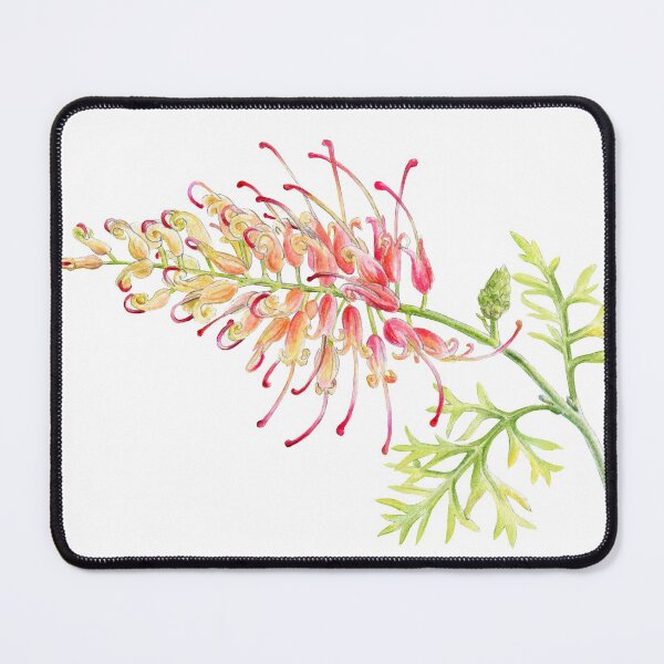 Item preview, Grevillea Loopy Lou watercolour hand painting designed and sold by Sarah Trett.