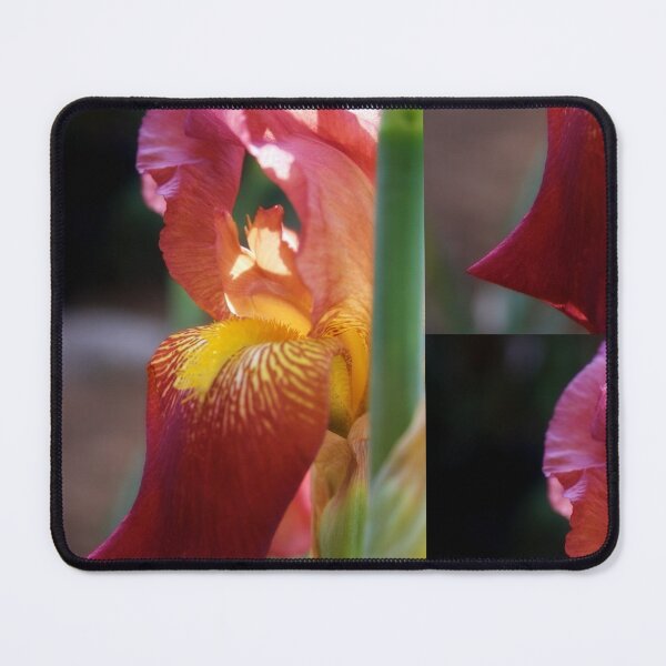 Item preview, Iris flower designed and sold by Lee's Place.