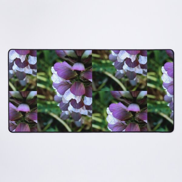 Item preview, Flowers designed and sold by Lee's Place.