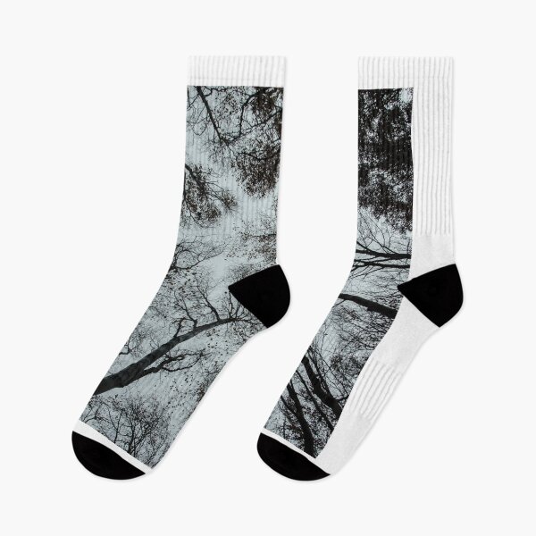Item preview, Tree Silhouette from Below designed and sold by debjaynedesign.