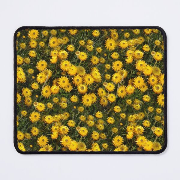 Item preview, Everlasting Daisies designed and sold by quentinjlang.