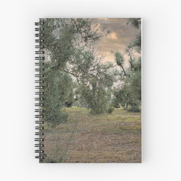 Item preview, Olive trees with sunset designed and sold by Photopat.
