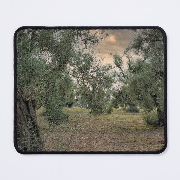 Item preview, Olive trees with sunset designed and sold by Photopat.
