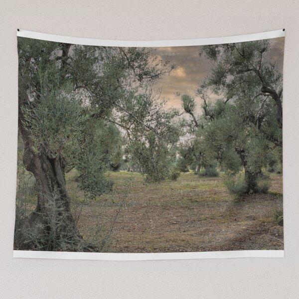 Item preview, Olive trees with sunset designed and sold by Photopat.